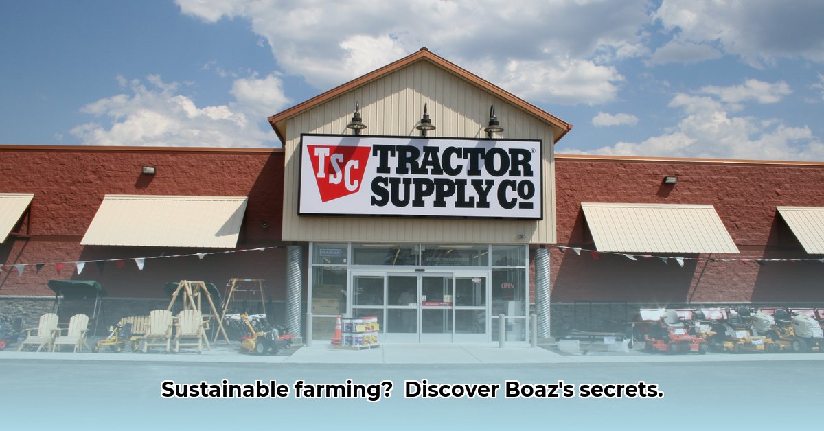 boaz-tractor-supply